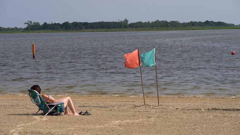 Hewlett Point Beach, where officials suspended swimming due to another shark...