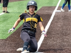 Wantagh softball team's epic season falls short of making state final