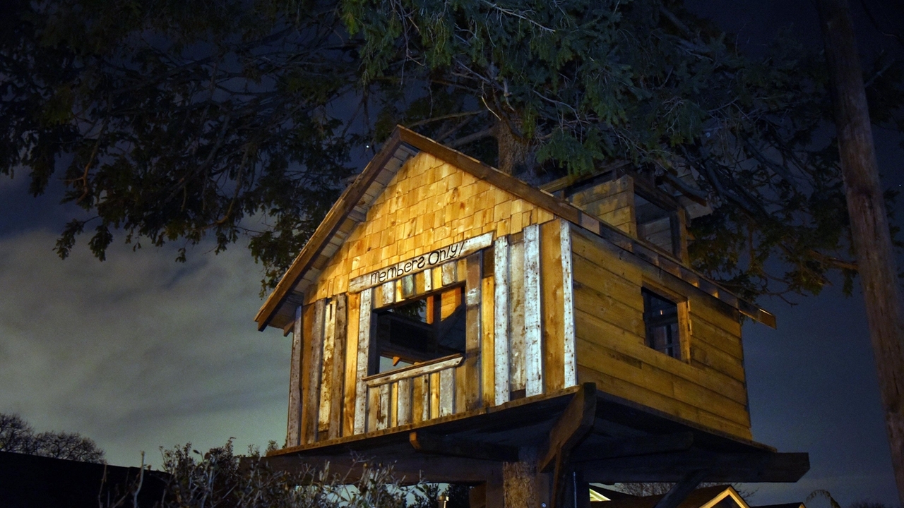 Court rules for village in Babylon treehouse battle - Newsday