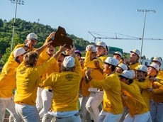 Final top 10 baseball rankings of the season