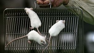 Technology can help us lead more moral lives — if we let it