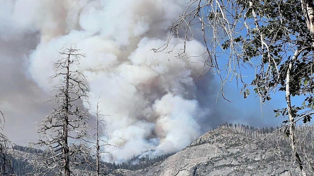 Firefighting helicopter crashes near Yosemite, killing both pilots ...