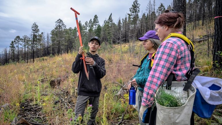 In this photo provided by the The Nature Conservancy, volunteers...