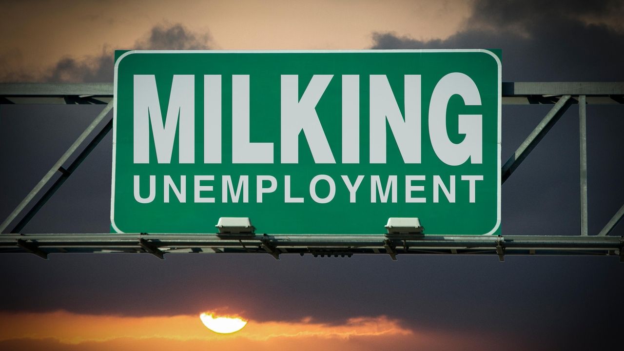 There must be accountability for state unemployment insurance COVID