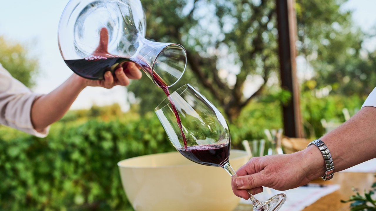 Argentina's wine industry withers on the vine as consumption hits a record low