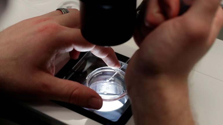 Lab staff prepare small petri dishes, each holding several 1-7...