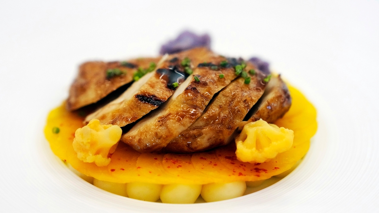 US approves chicken made from cultivated cells, the nation's first 'lab-grown' meat - Vimarsana News