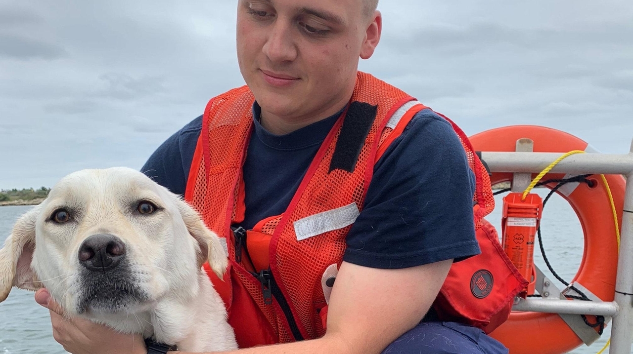 Coast Guard rescues man, boy, dog from capsized boat off Cedar Beach ...