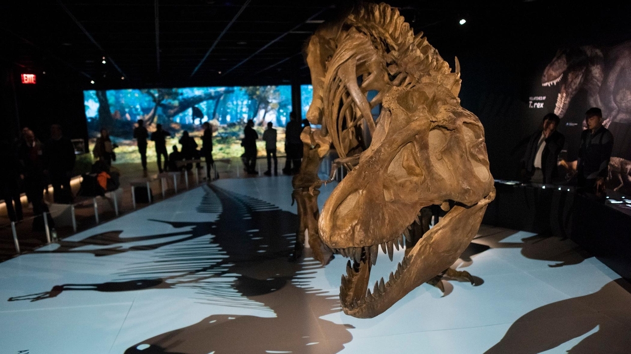 New York City restores $22.6 million in budget cuts to cultural ...