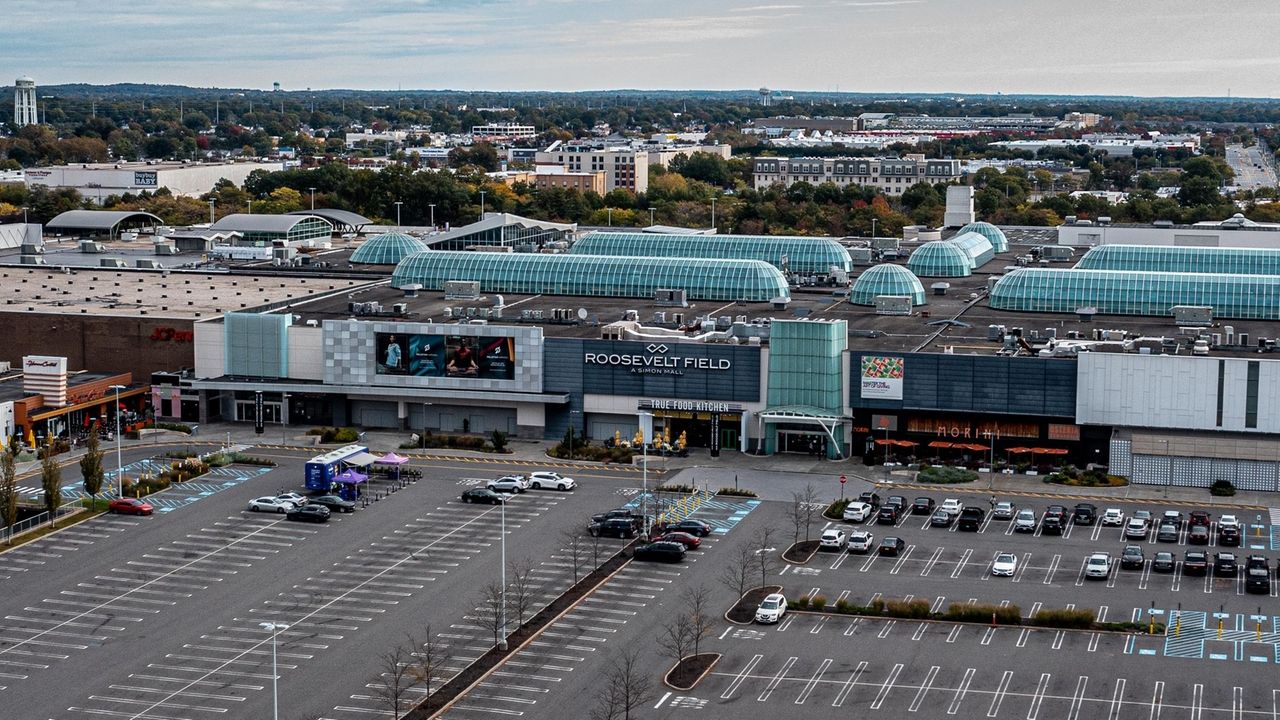 Rash of crimes at Roosevelt Field Mall have some shoppers shaken