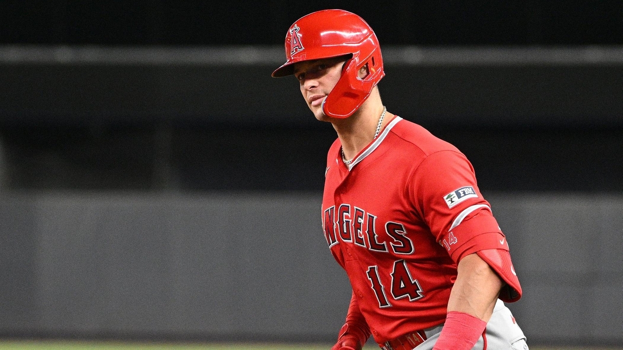 Sayville native, Angels catcher Logan O'Hoppe returns to Yankee Stadium as  a trusted pro - Newsday