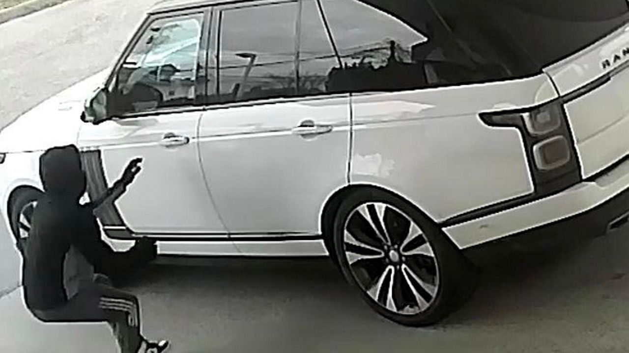 Dog thrown from vehicle in Mineola car theft Newsday