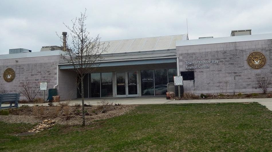 Town of Oyster Bay animal shelter waiving pet adoption fees in
