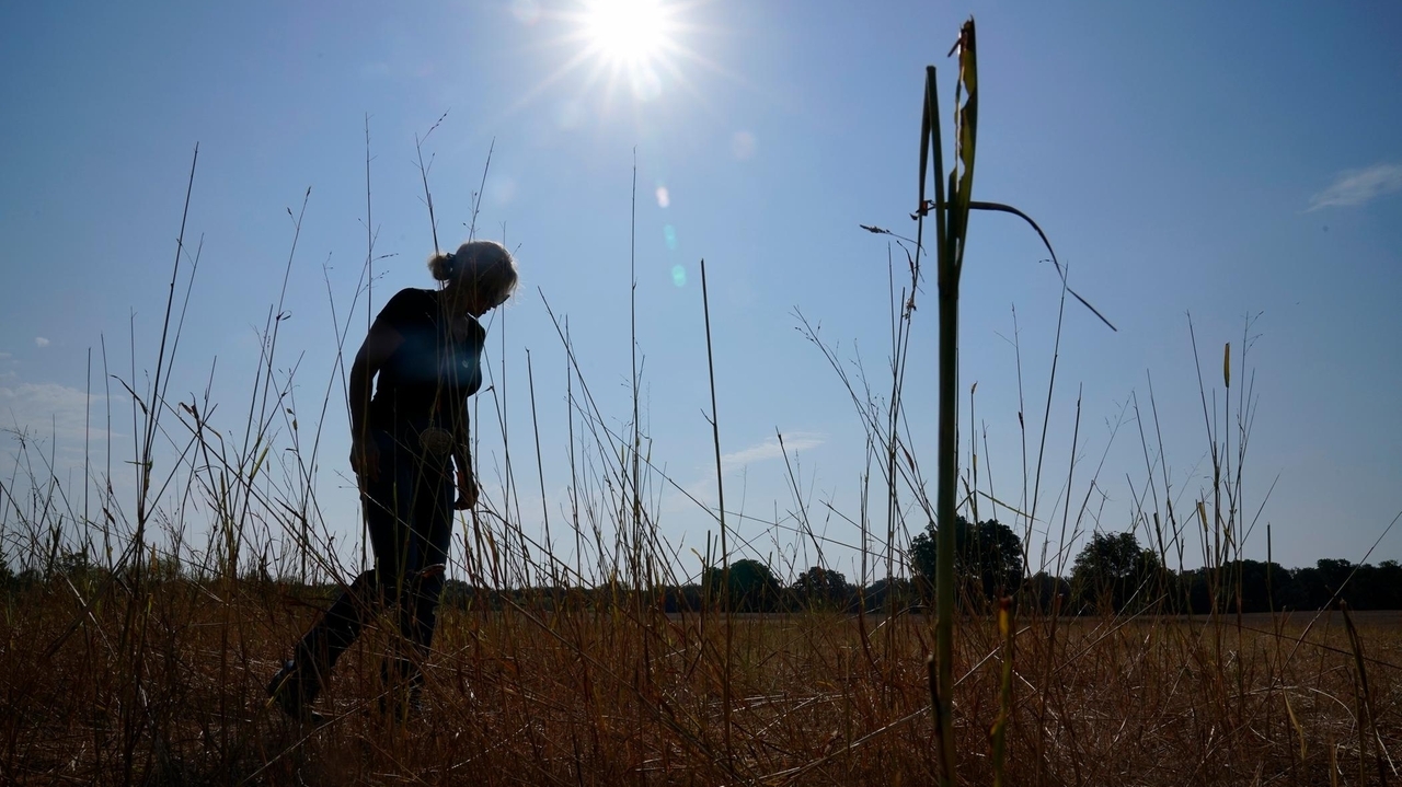 Worsening warming is hurting people in all regions, US climate assessment shows - Vimarsana News