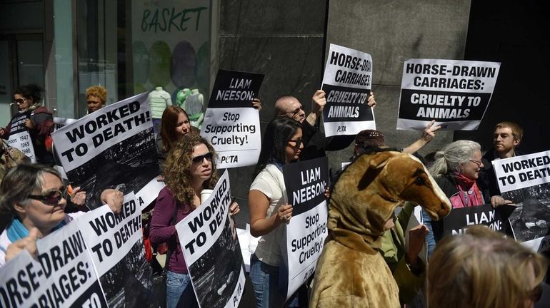 Dozens of animal rights activists protest outside actor Liam Neeson's...