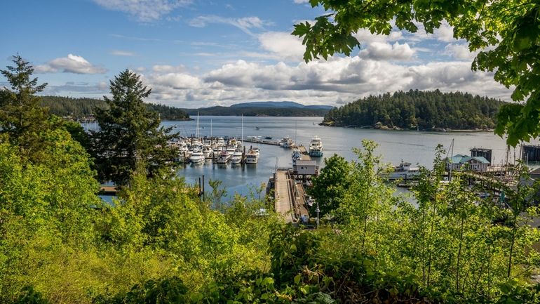 View of the marina in Friday Harbor on San Juan...