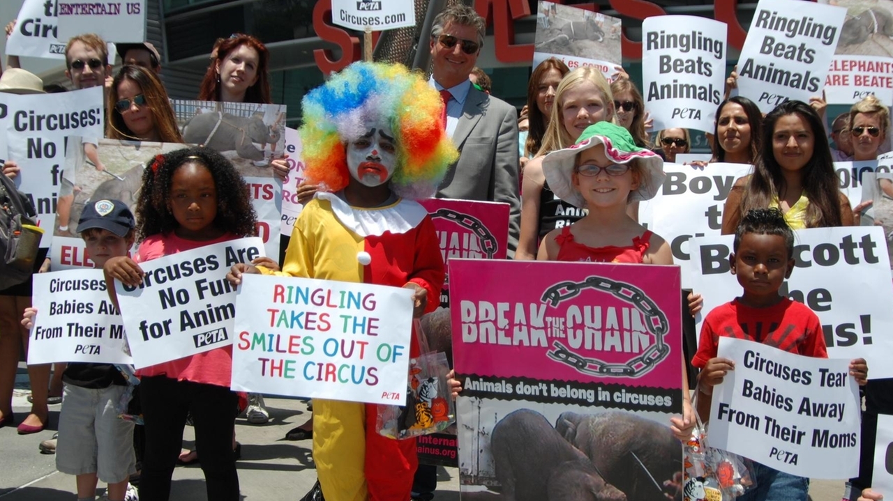 Ringling Bros. and Barnum & Bailey Circus protesters through the years ...