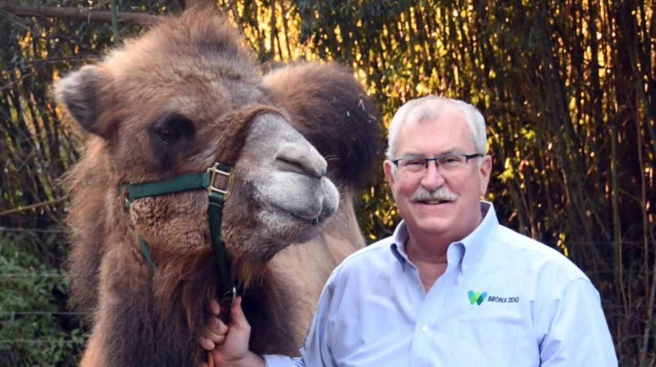 listen-inside-the-bronx-zoo-as-covid-19-hit-newsday