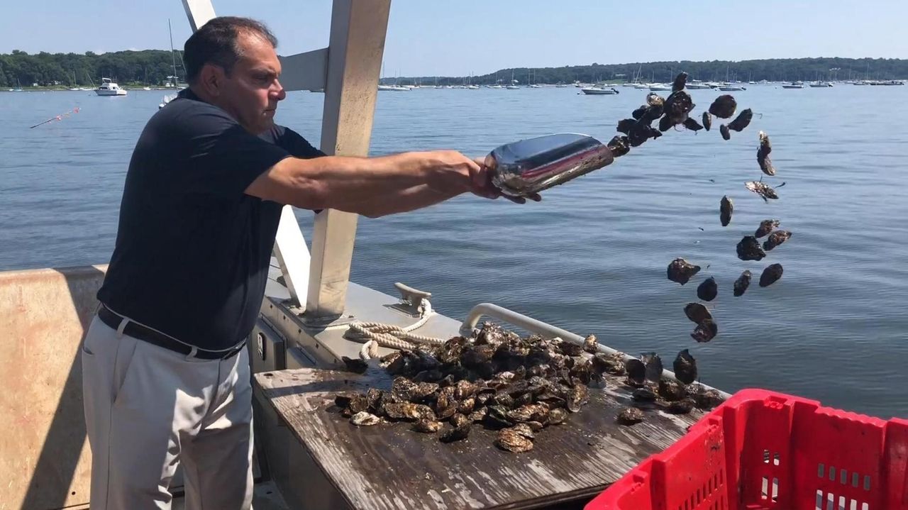 National Oyster Day celebrated in Oyster Bay Newsday