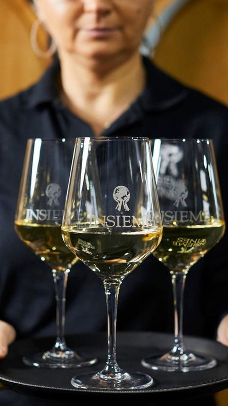 FDFMVINO220106_photos