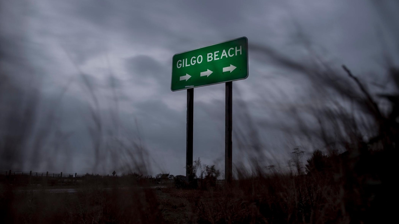 How an otherwise 'routine' call pulled NYC forensic anthropologist Bradly Adams into the Long Island serial killer case