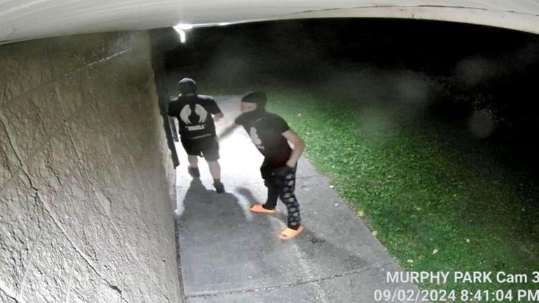 Security surveillance images showing suspects responsible for vandalism at Medal...