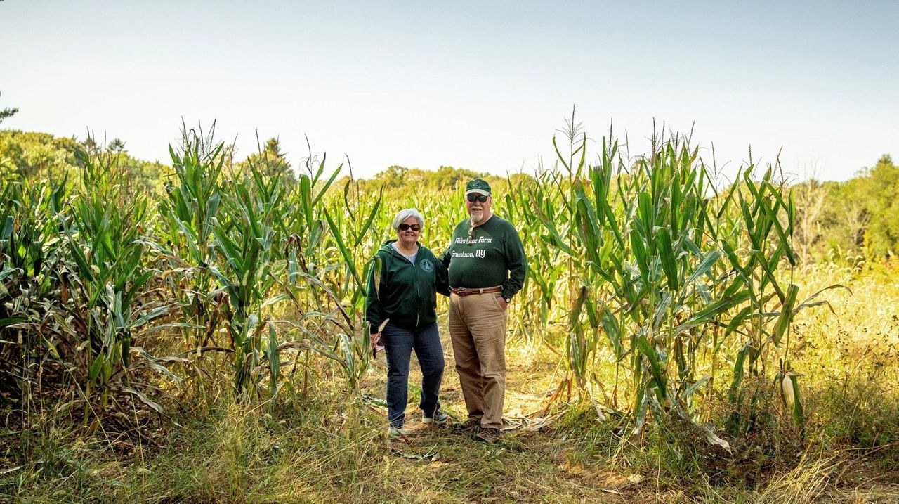 Development deal means no development on Greenlawn Christmas tree farm Newsday
