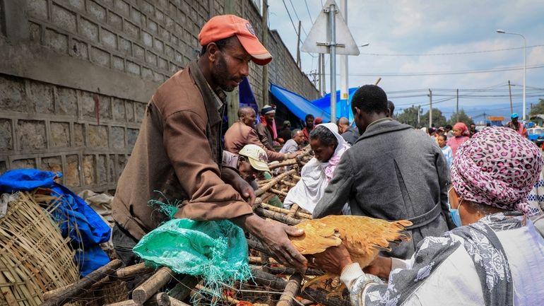 FILE -A man sells chickens in Sholla Market, the day...