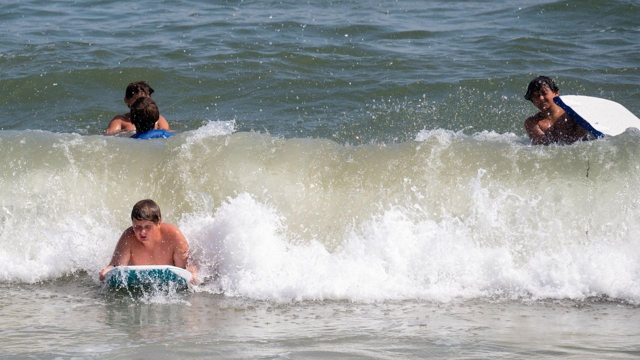 Tobay Beach reopens after shark sightings Newsday