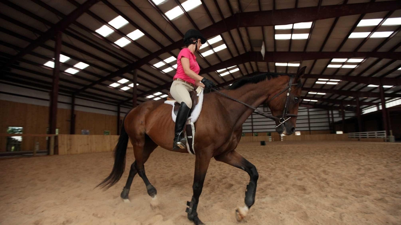 West Hempstead horse ranch will hold grand opening - Newsday