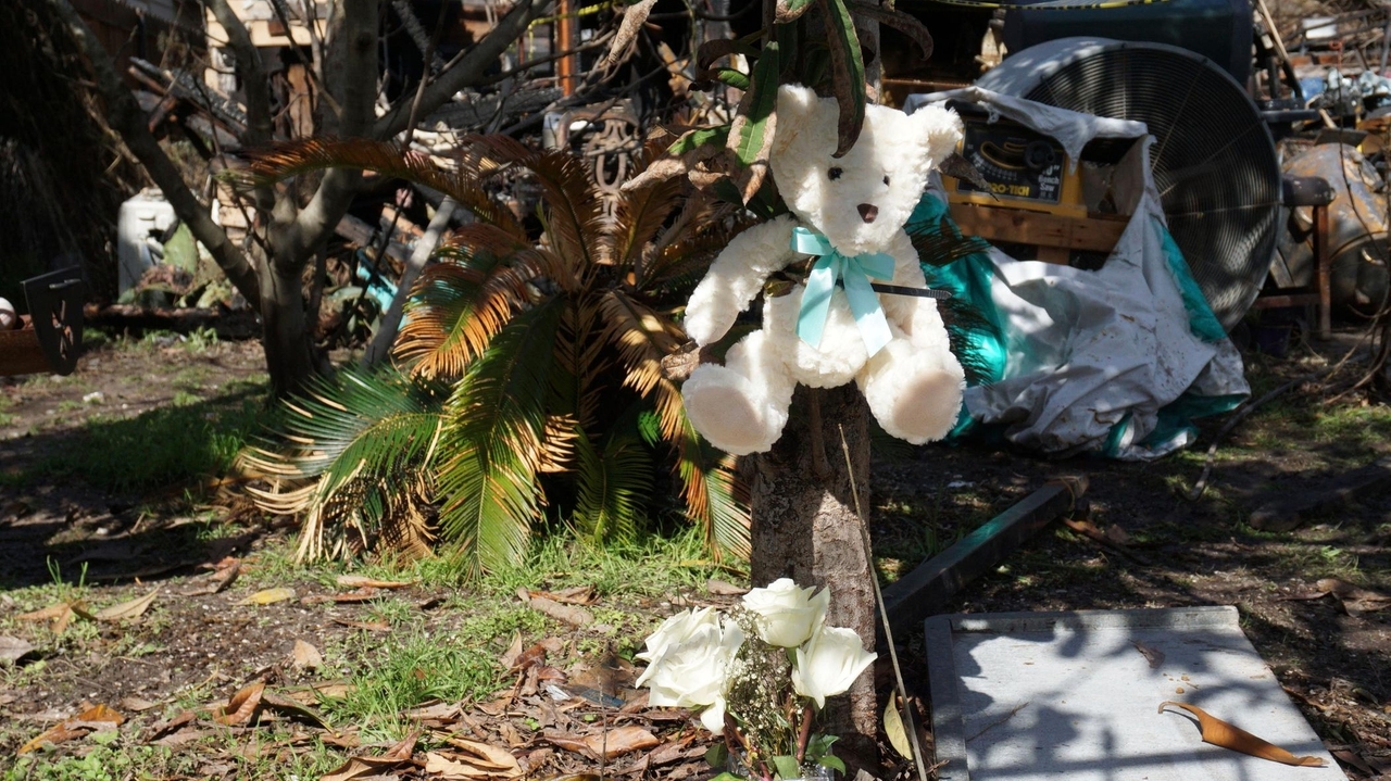 Texas mother, infant son die in house fire after she saves her two ...