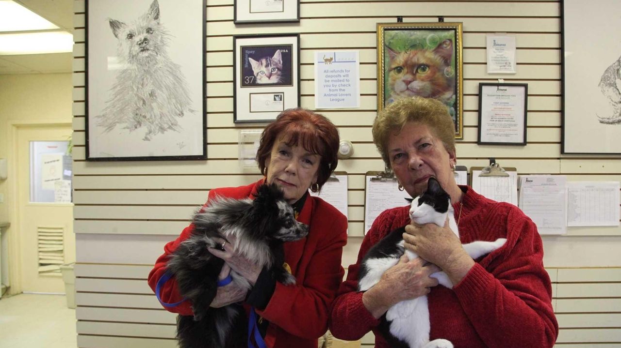 Glen Cove evicts longtime animal shelter leadership Newsday