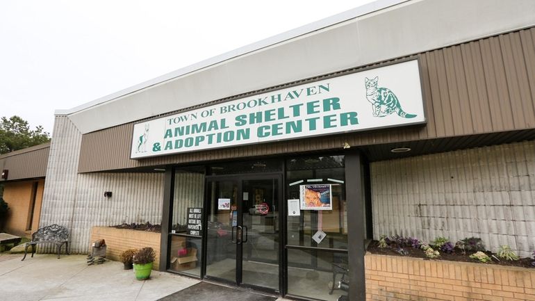 The Town of Brookhaven Animal Shelter & Adoption Center is...