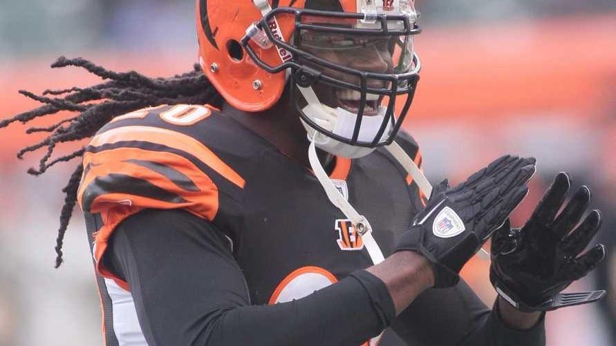 Reevaluating Bengals' decision to not re-sign Reggie Nelson in 2016 - Cincy  Jungle