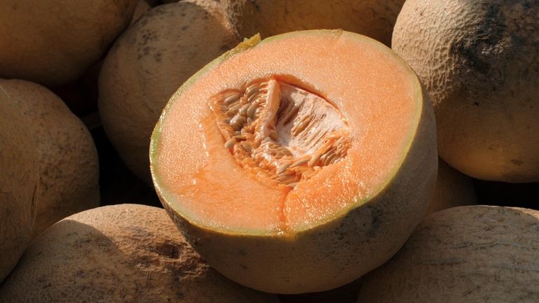 Cantaloupes are displayed for sale in Virginia on Saturday, July...