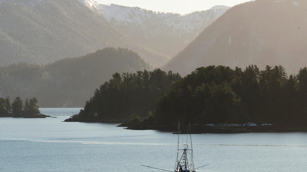 King salmon season back on in Alaska after federal appeals court lets fishery open July 1 - Vimarsana News