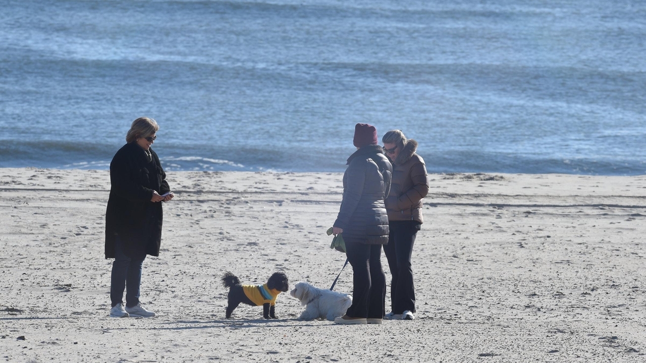 Long Island forecast: A sunny, chilly Monday, then milder temps with ...