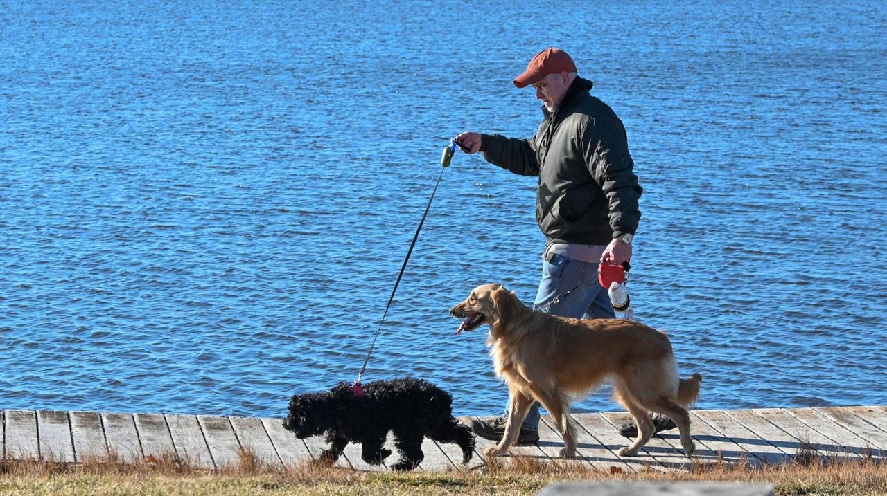 long-island-forecast-below-freezing-tonight-then-rain-off-and-on