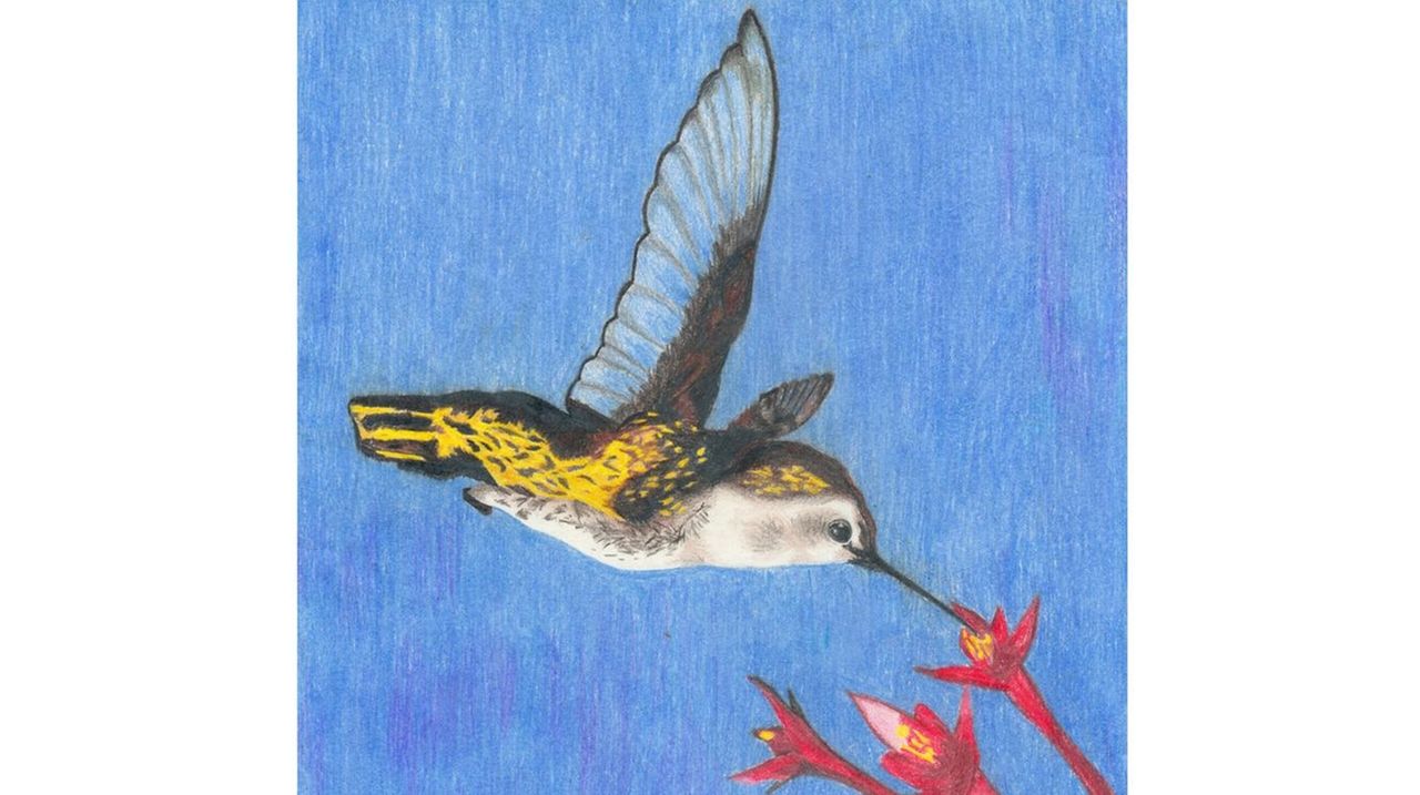 At Holtsville Ecology Site, see wildlife and go on nature walks Newsday