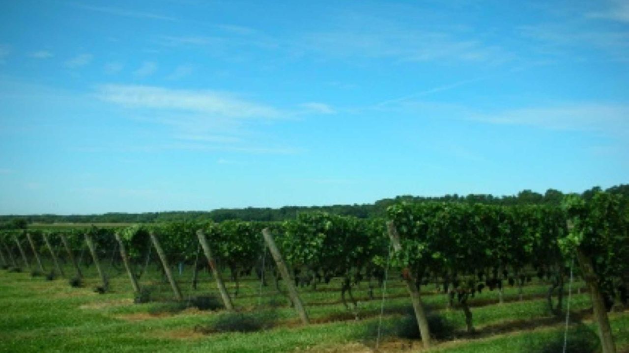 Rich cribs Cutchogue farm with vineyard sells for 8.803 million Newsday