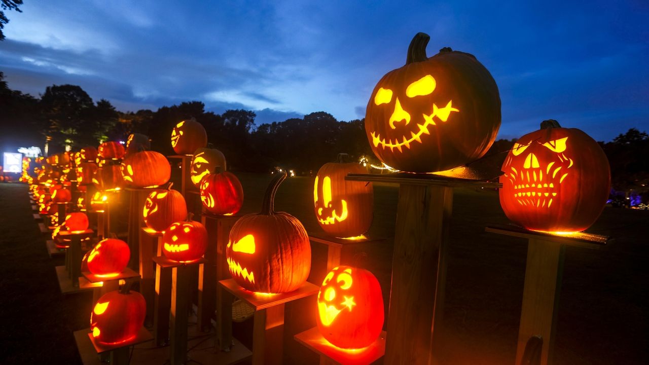 Fall festivals, haunted houses and more ways to get into the fall ...