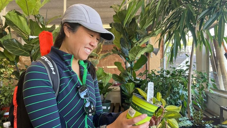 Customer Amy Ashcroft looks at a plant at Flowercraft at...