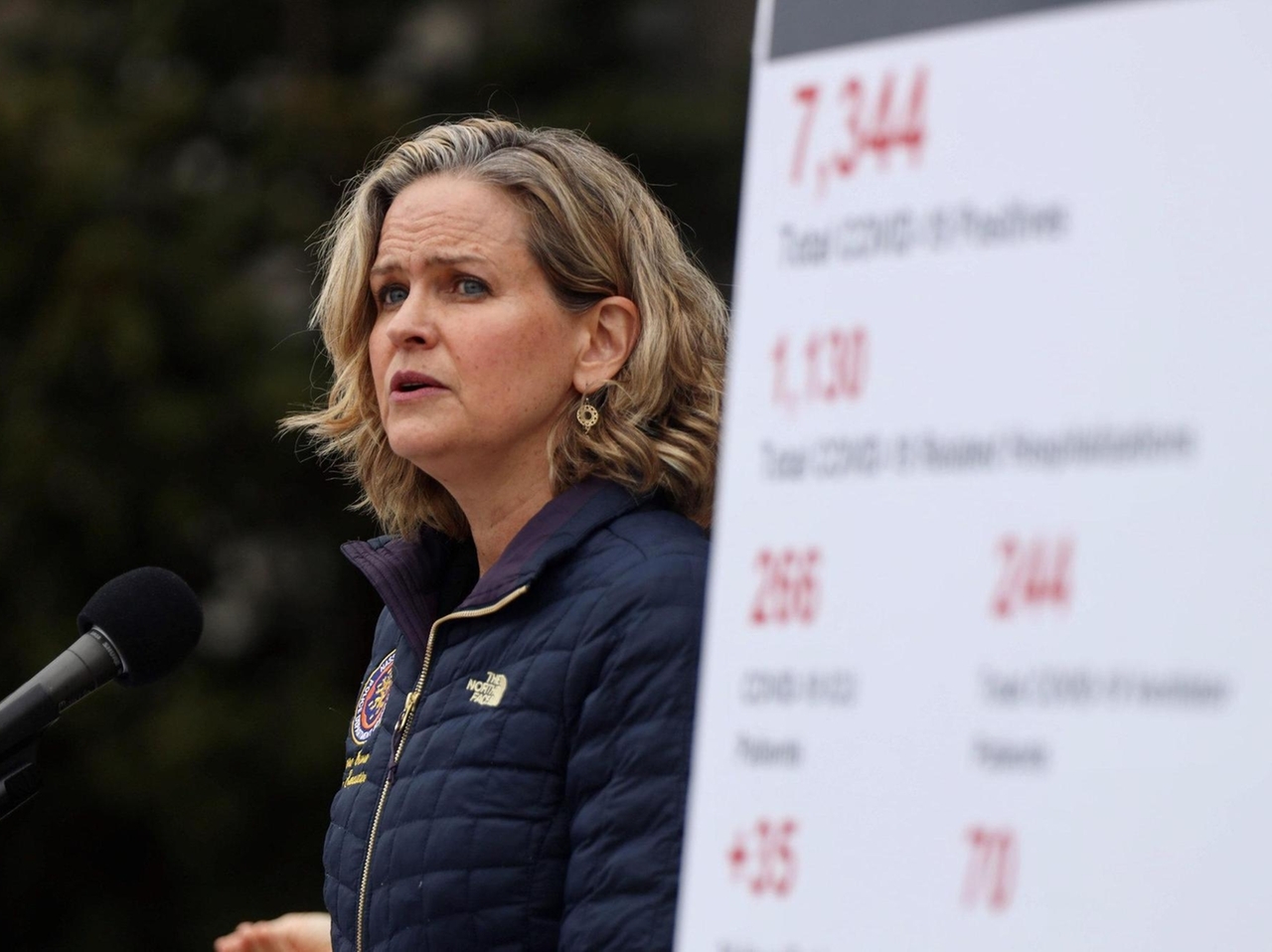 For Laura Curran, pandemic went from a trickle to a flood - Newsday