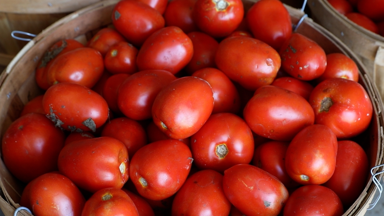 Out East: Lenny Bruno Farms