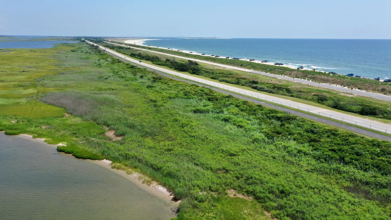 Gilgo Beach killings: Ocean Parkway thickets masked dumping ground - Vimarsana News