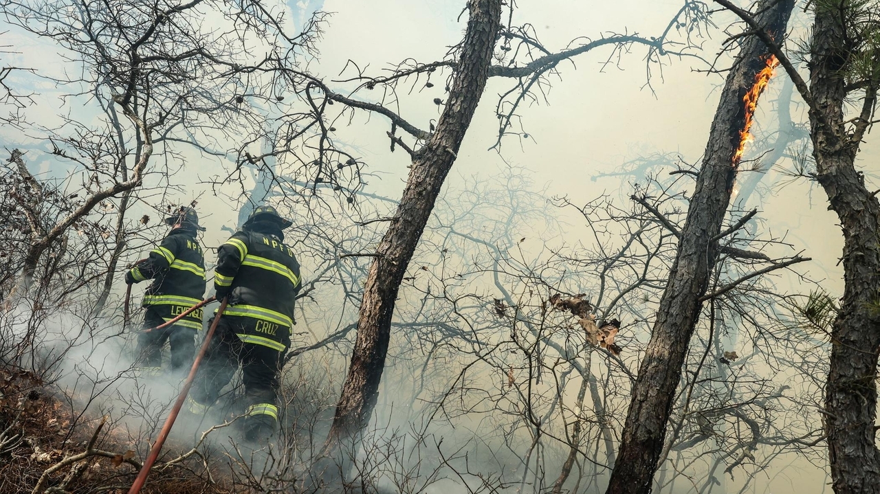 Statewide burn ban issued amid dry weather - Newsday