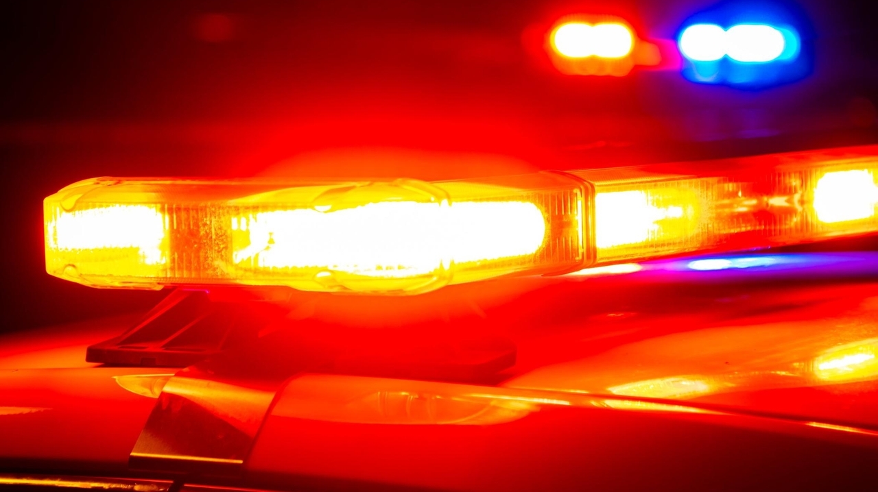 Seamus McGuickian, of Islip Terrace, drowns in backyard pool, police say