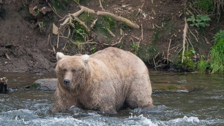 In this photo provided by the National Park Service is...