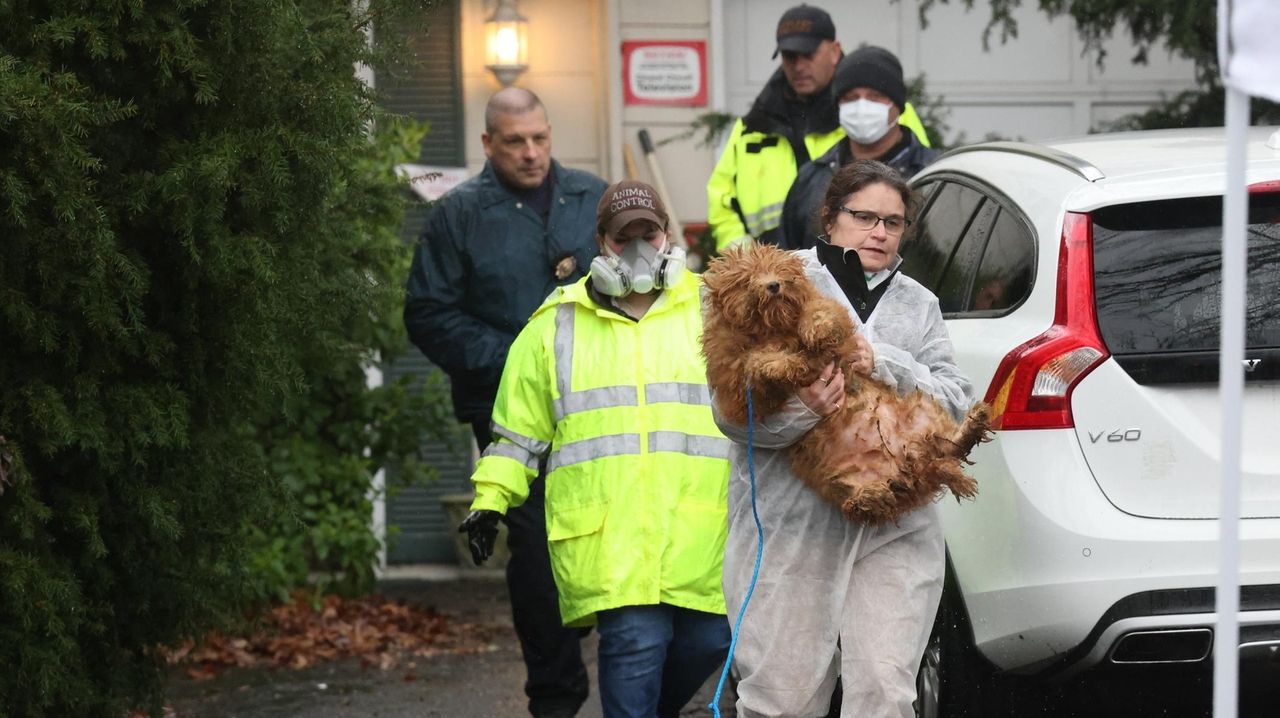 Ronkonkoma woman faces 49 animal cruelty charges, Suffolk SPCA says ...