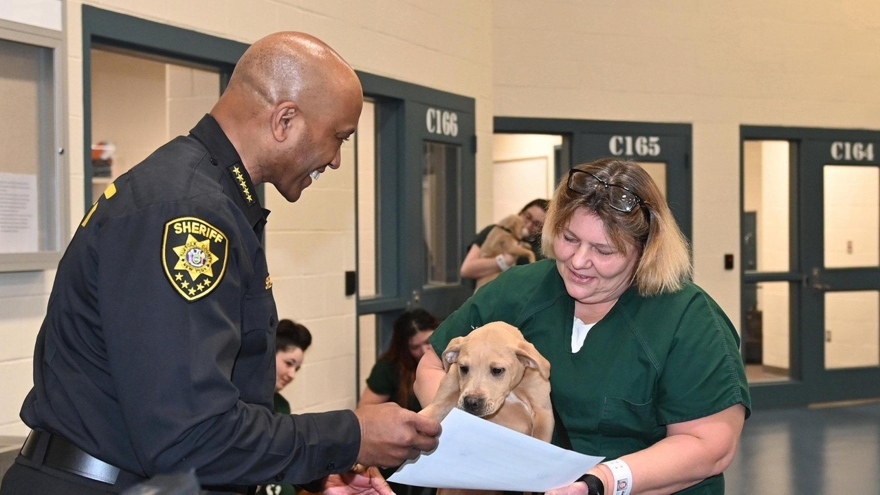 Pawsitive experience: Program gives inmates, dogs a second chance at ...